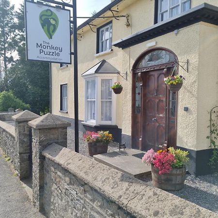 The Monkey Puzzle Otel Bunclody Dış mekan fotoğraf