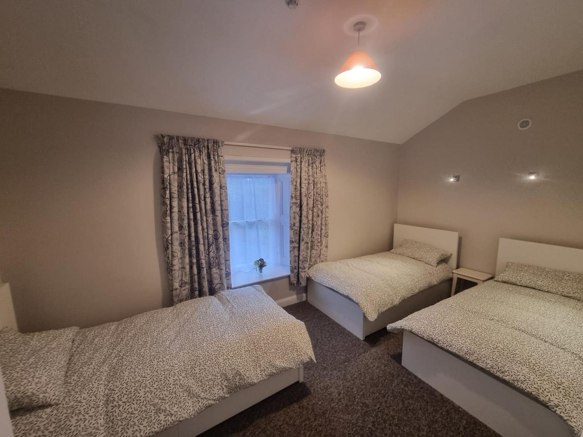 The Monkey Puzzle Otel Bunclody Dış mekan fotoğraf