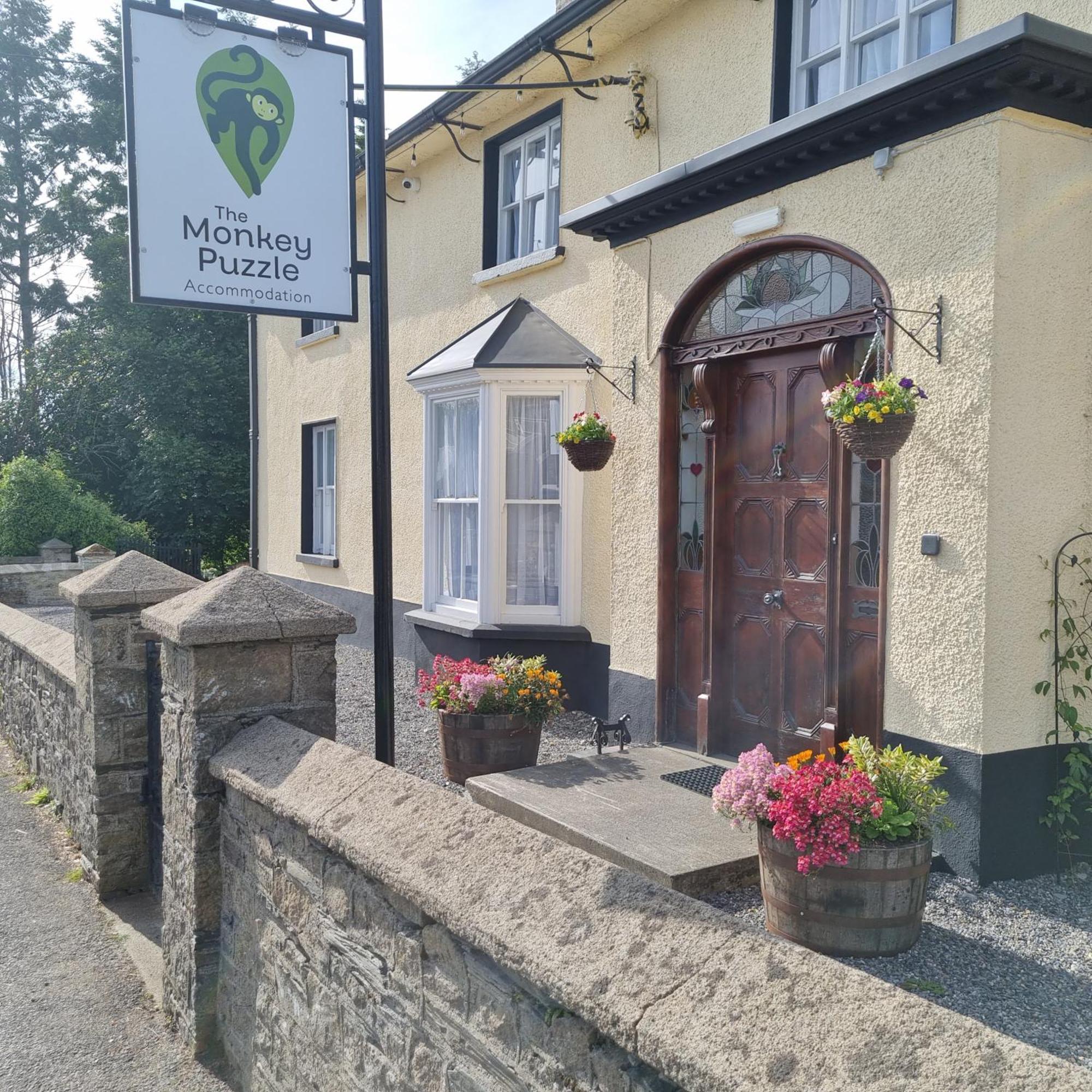 The Monkey Puzzle Otel Bunclody Dış mekan fotoğraf
