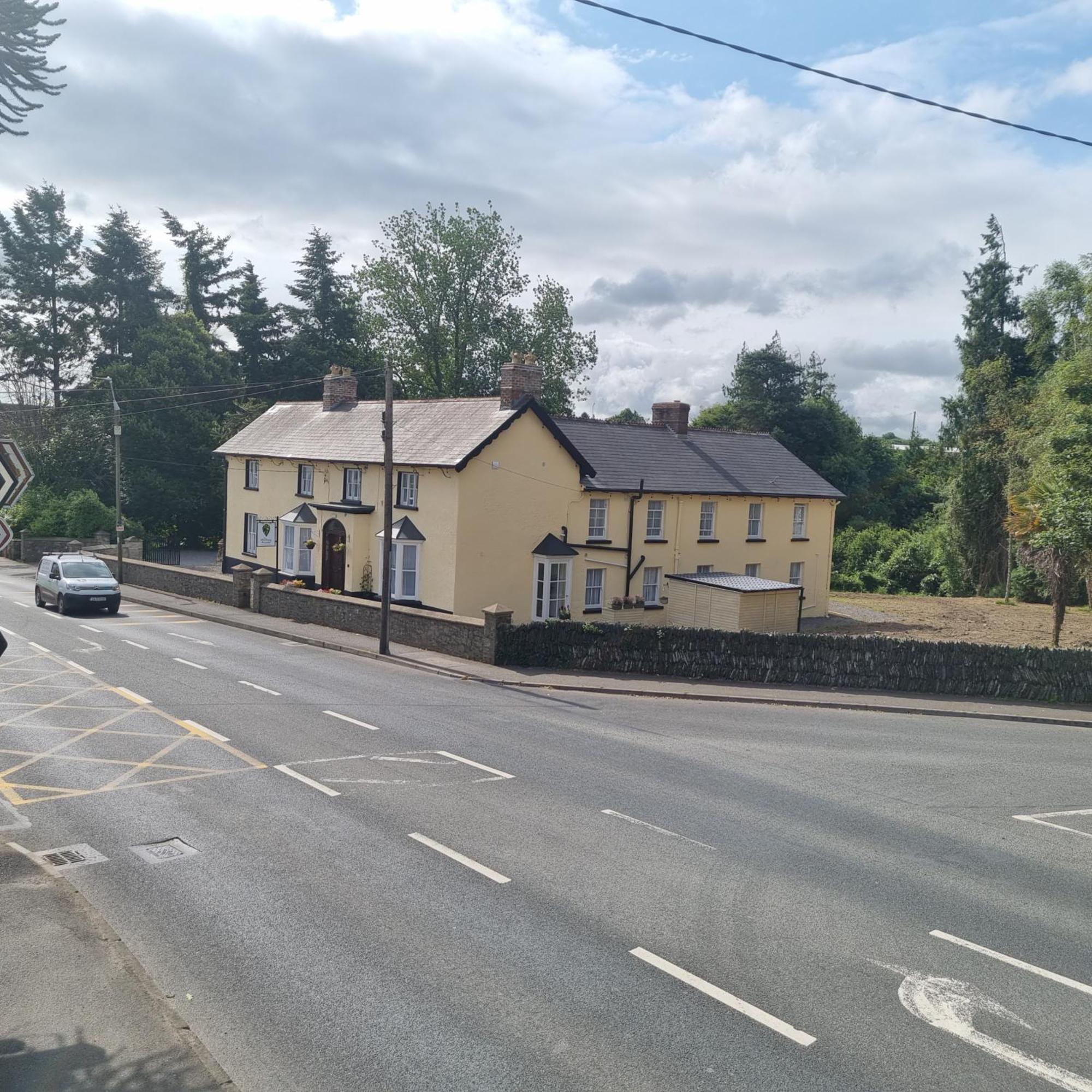 The Monkey Puzzle Otel Bunclody Dış mekan fotoğraf