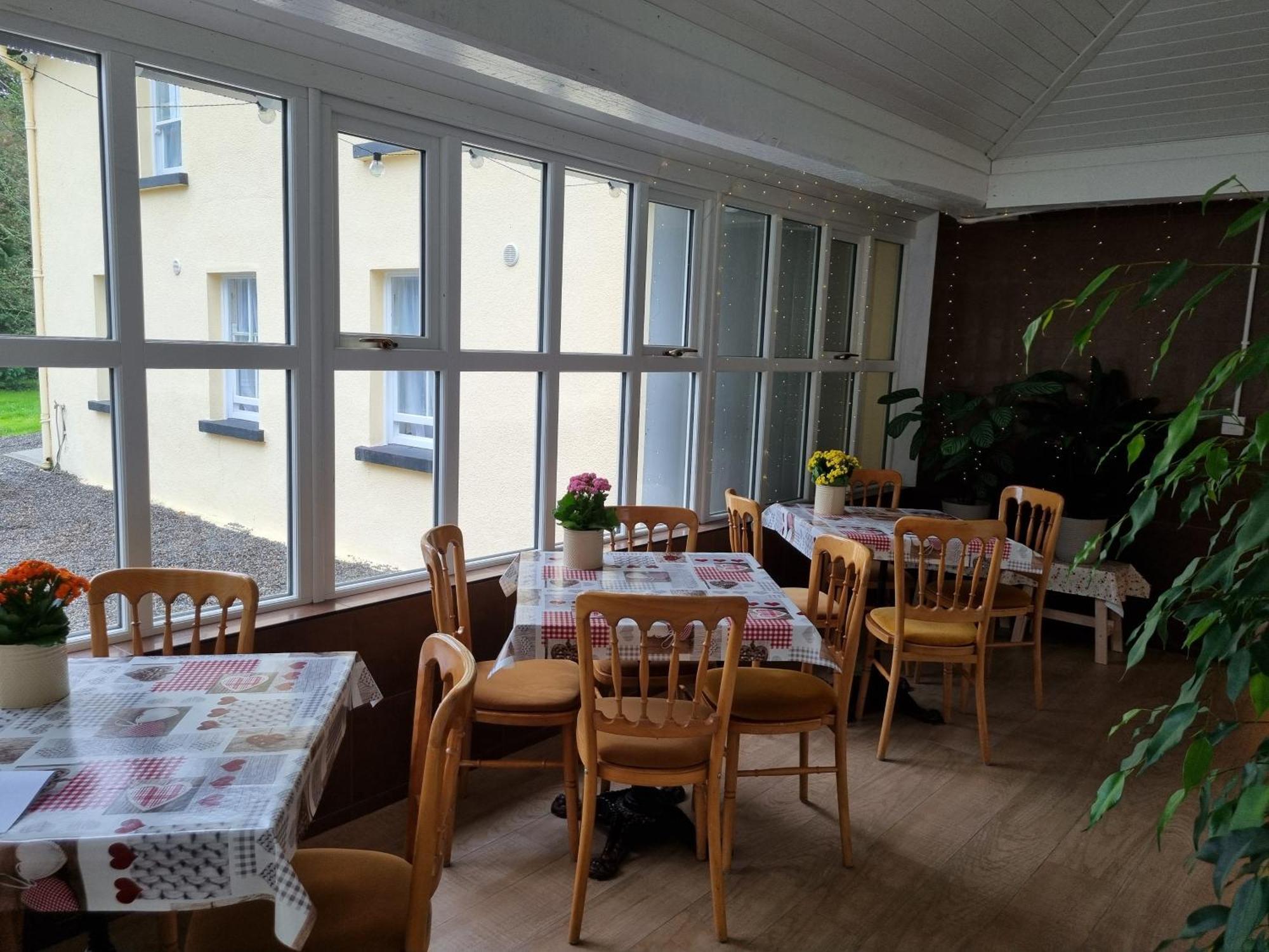 The Monkey Puzzle Otel Bunclody Dış mekan fotoğraf
